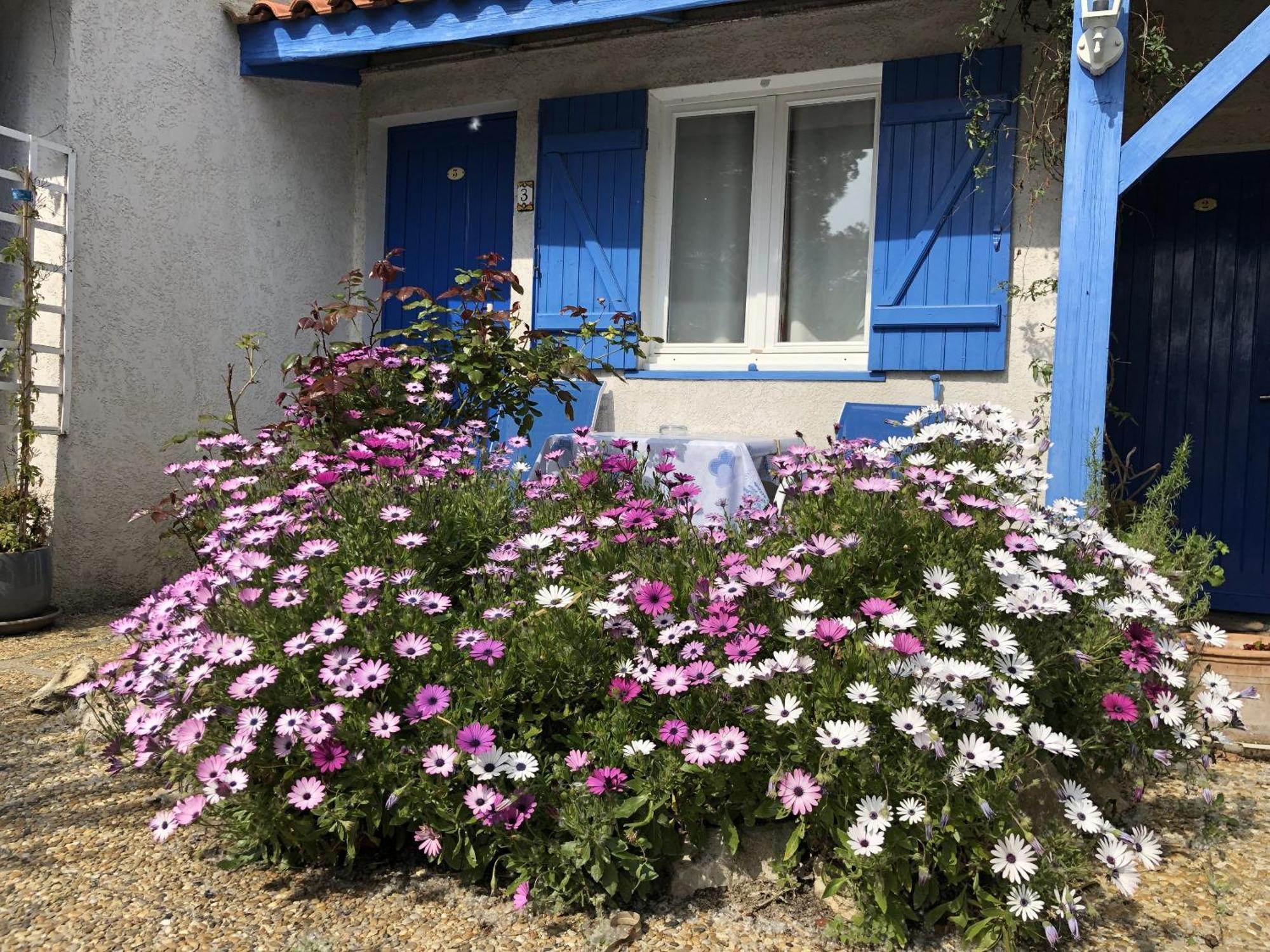 איגוס-מורטס Hotel Des 4 Vents "Esprit Camargue" מראה חיצוני תמונה